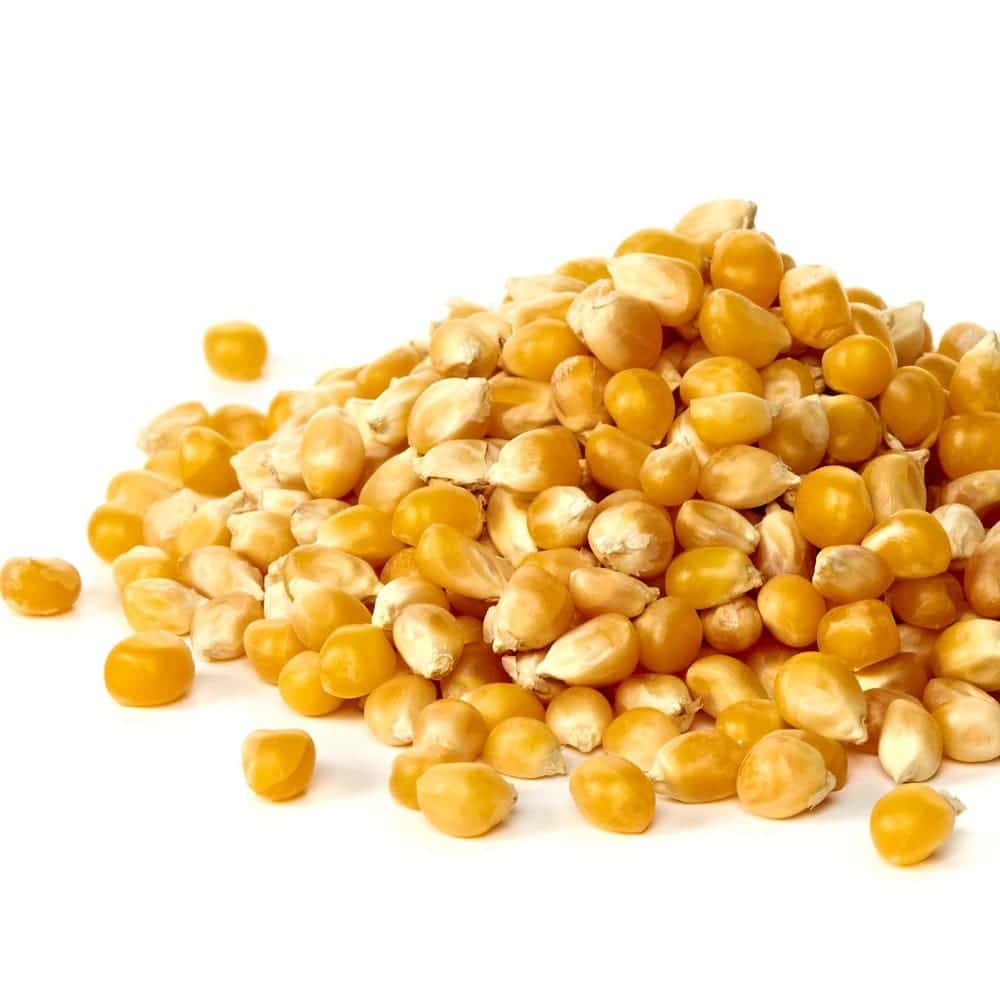 Corn 