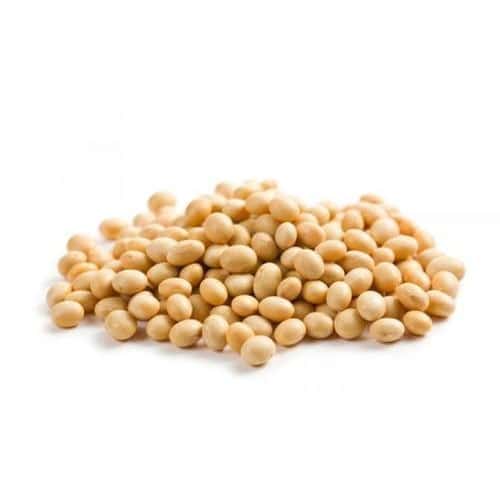 Soya bean