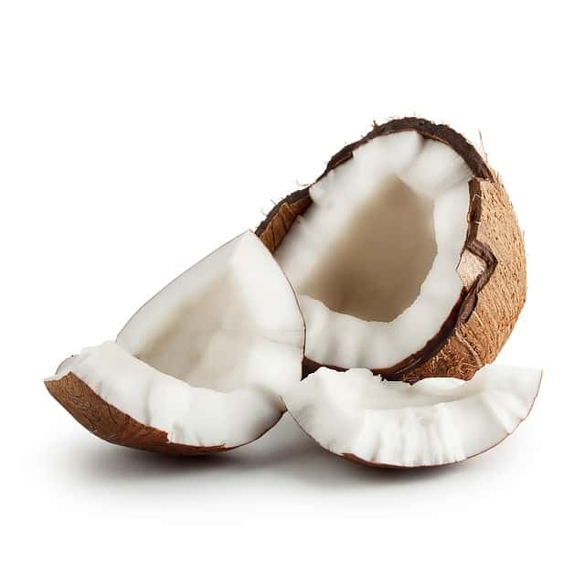 Coconut