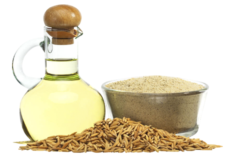 Refined Rice Bran Oil