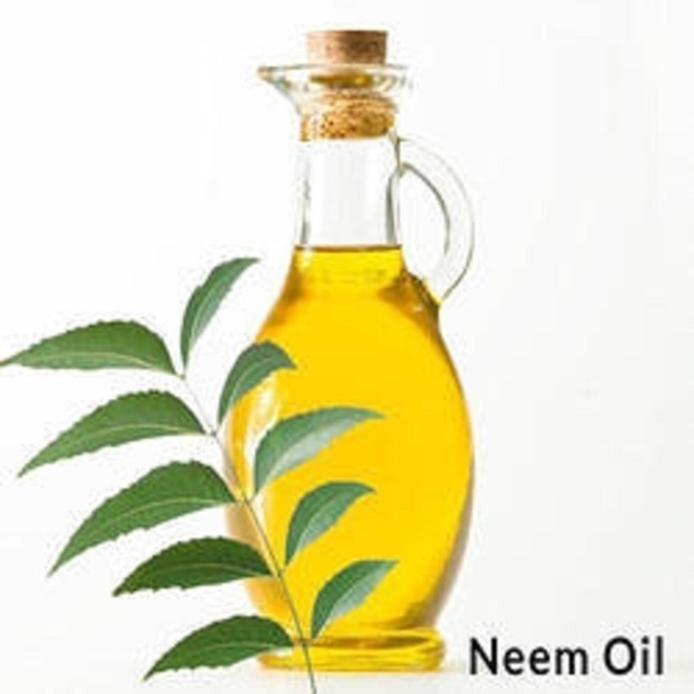 Expeller Neem Oil