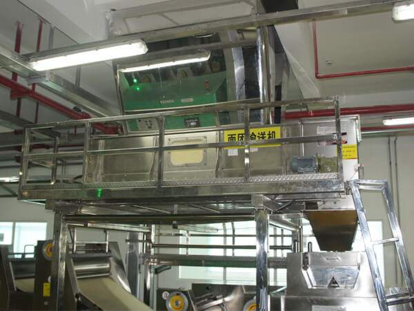 Paste Conveyor