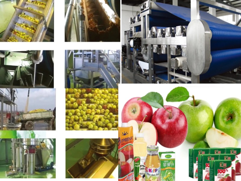 Apple/ Pear / Juice Processing Line