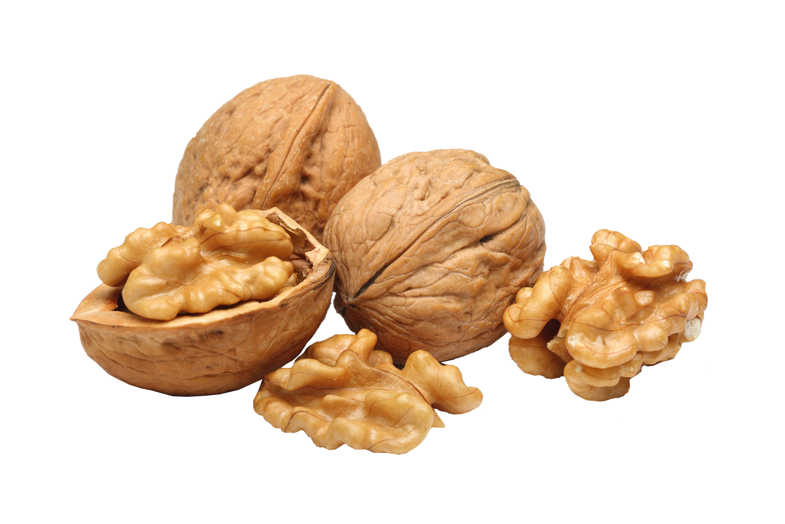 Walnut