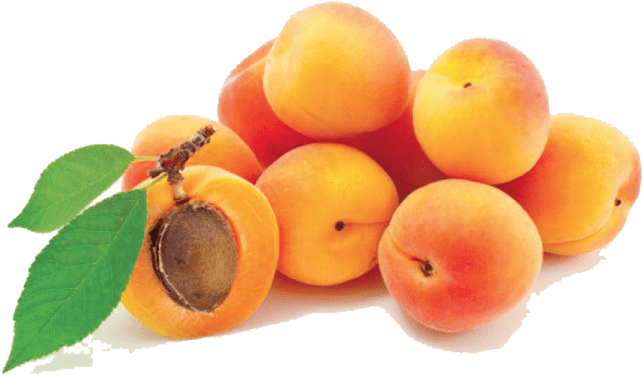 Apricots