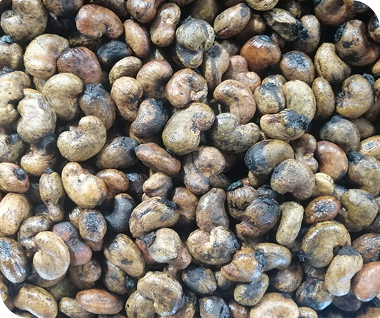 Cashew Nuts Kernels