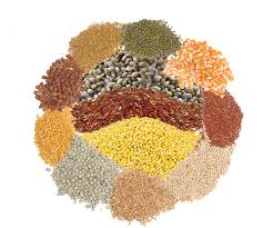 Millet