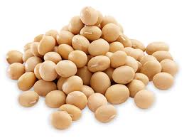 Soya bean
