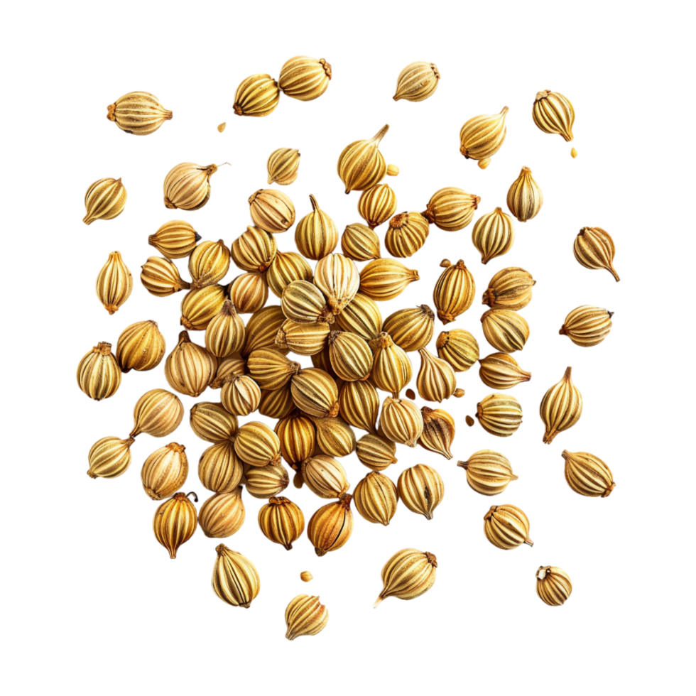 Coriander Seeds