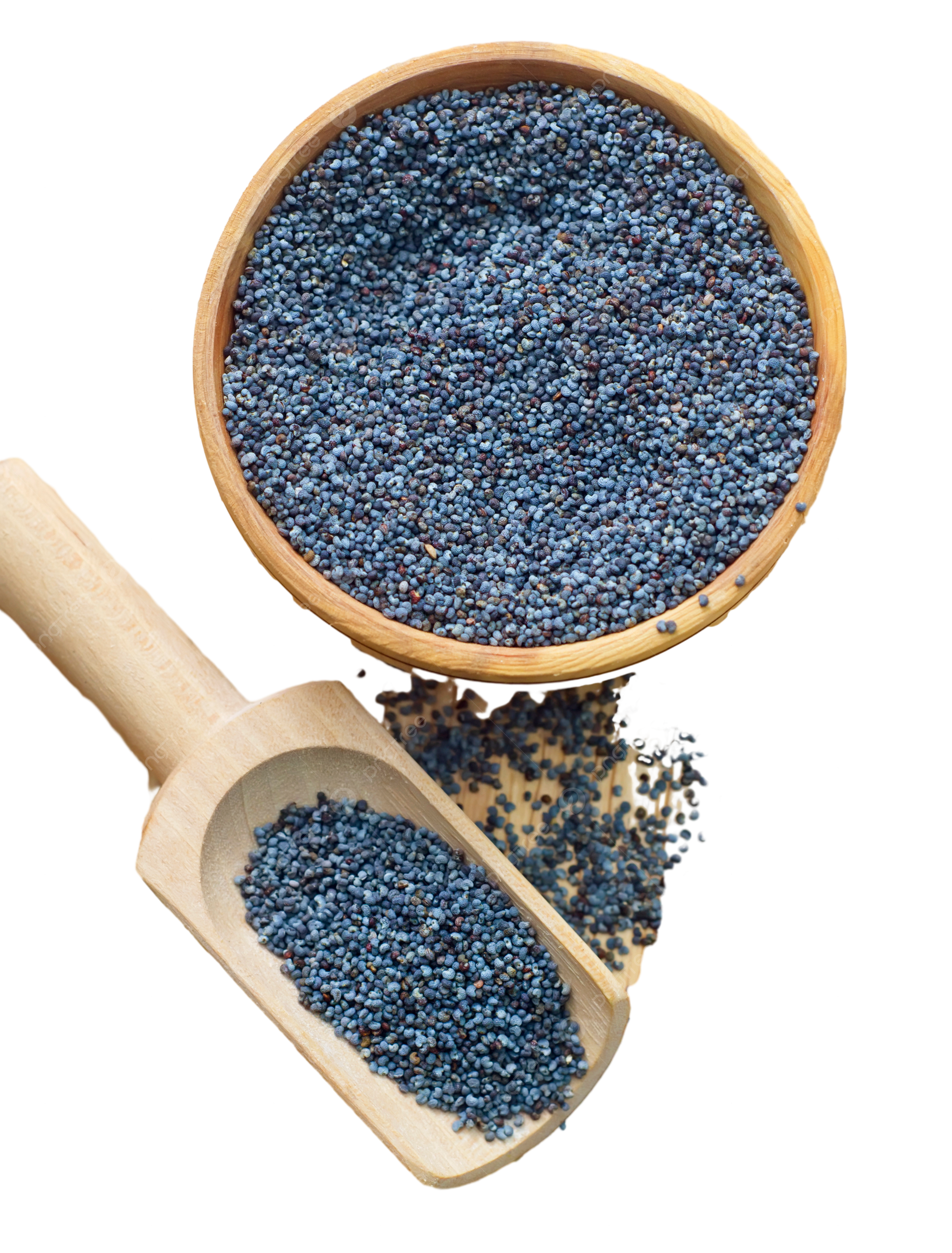 Poppy Seed