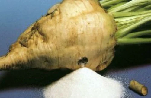 Beet Sugar