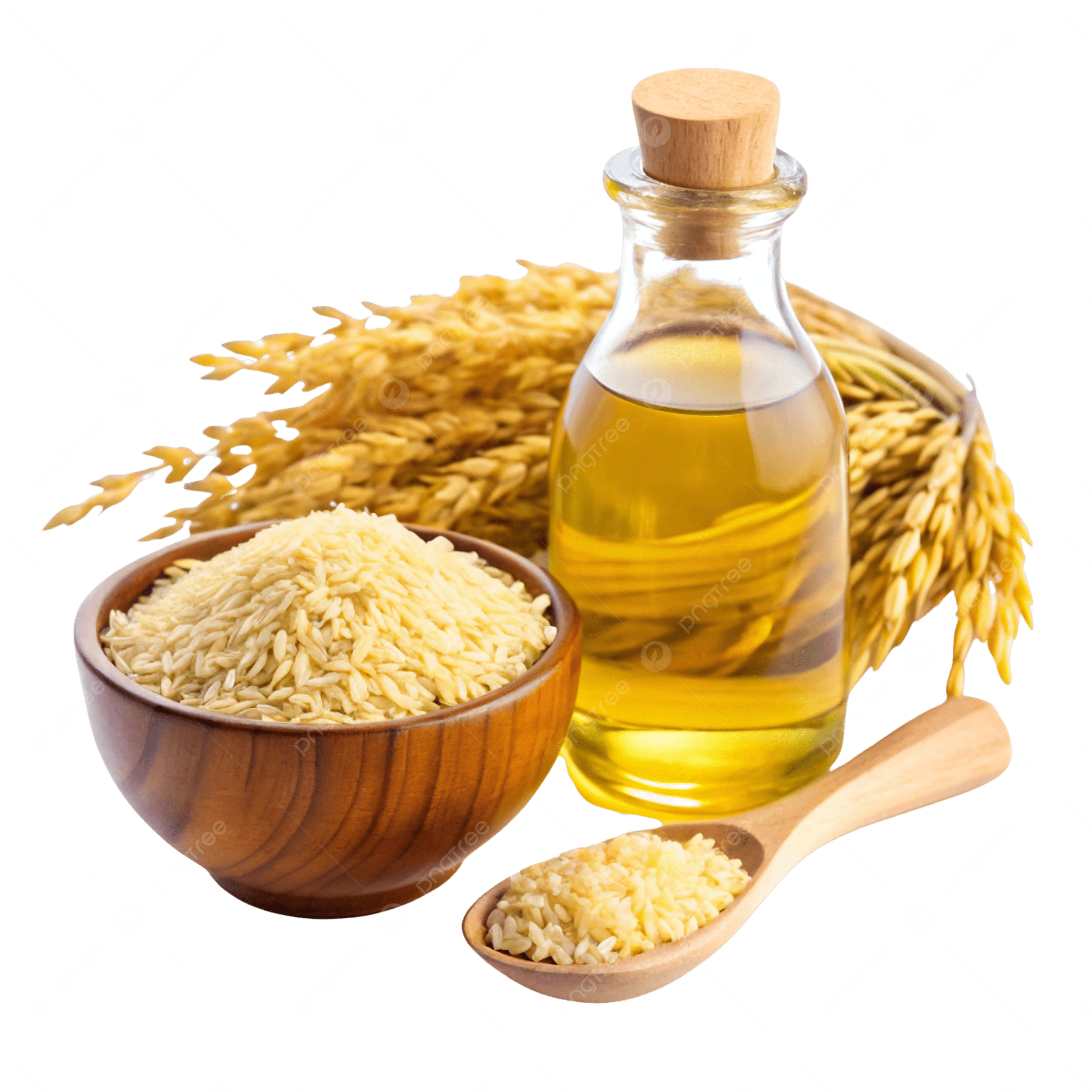 Refined Rice Bran Oil