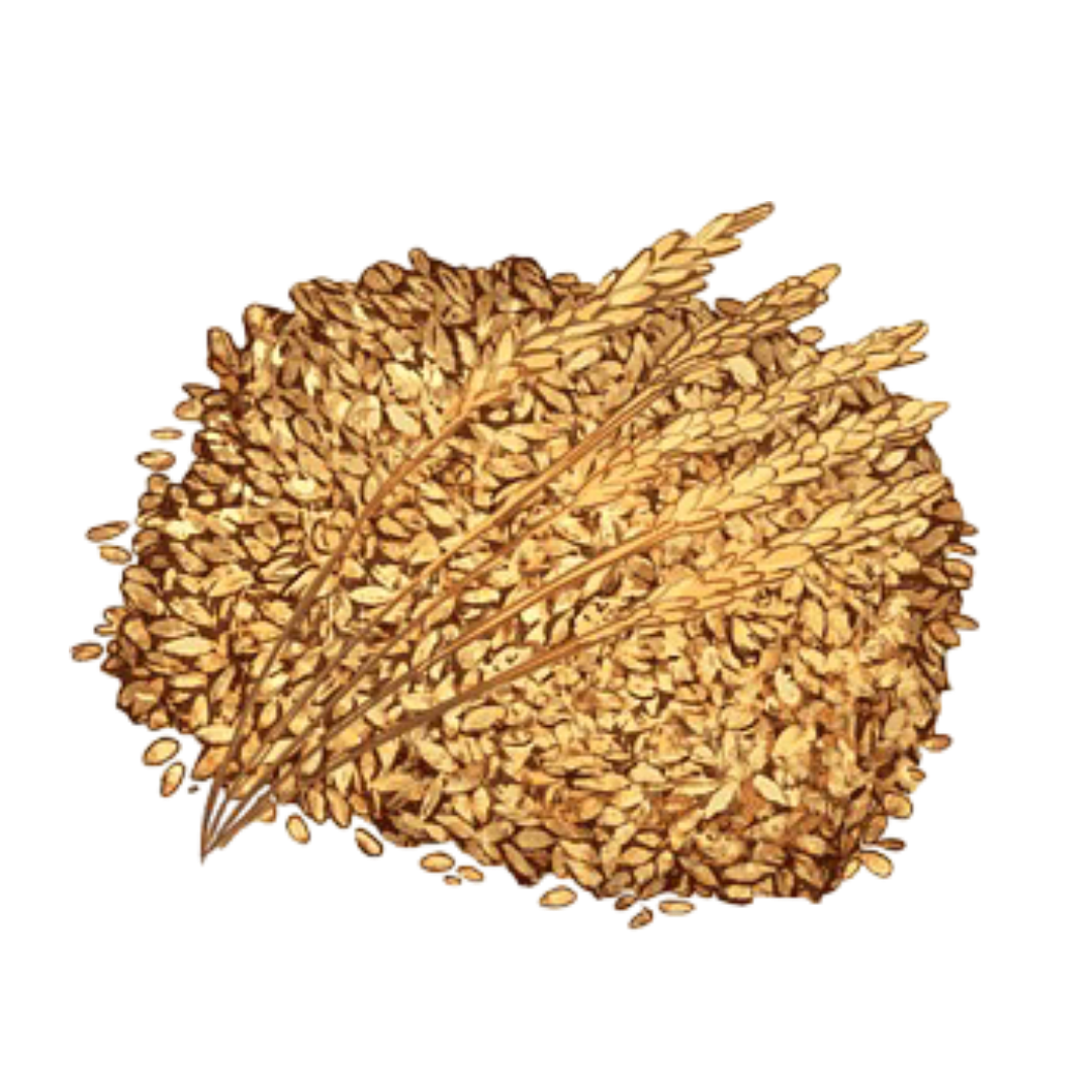 Teff
