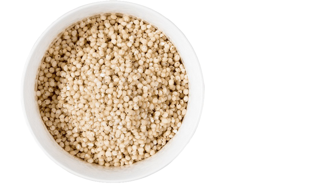 SORGHUM (JOWAR)