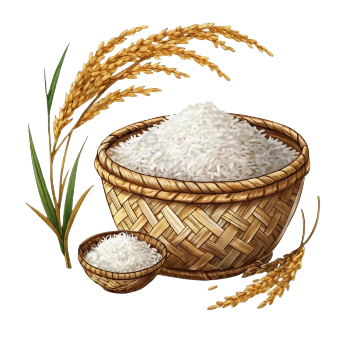 Rice