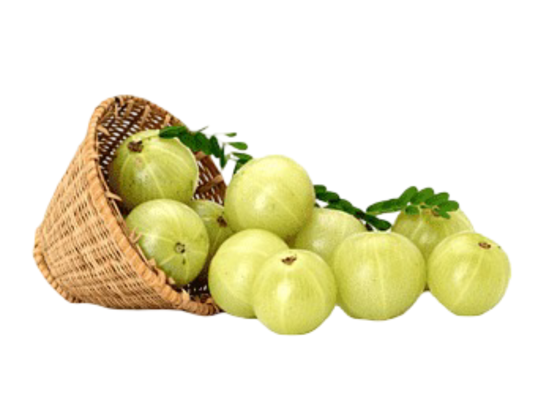 Amla