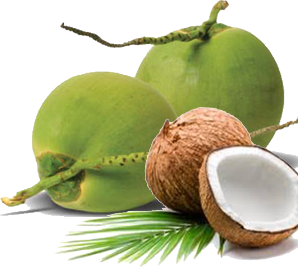 Coconut