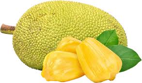 Jackfruit