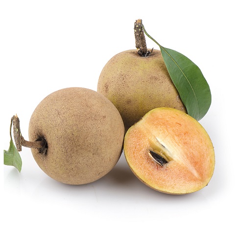 Sapota