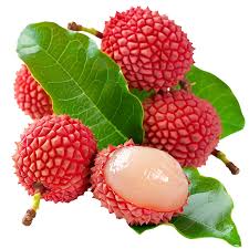 Litchi