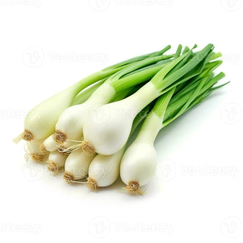 Spring Onion