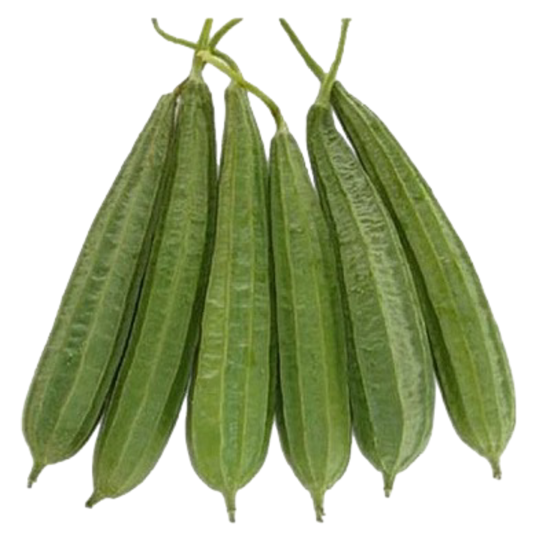 Ridge Gourd