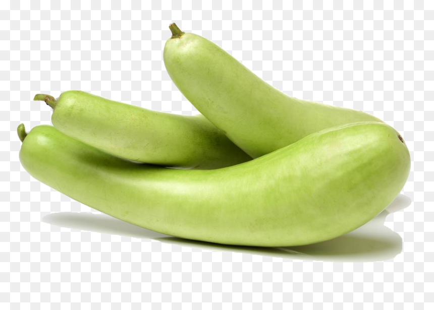 Bottle Gourd