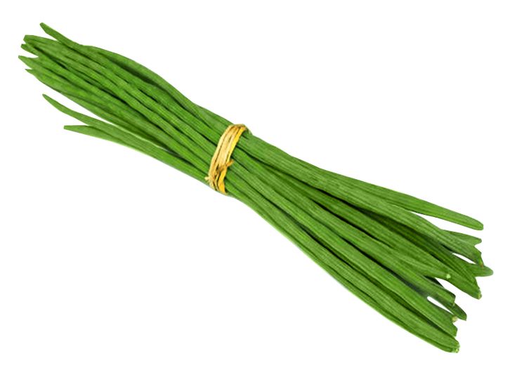 Drum Stick