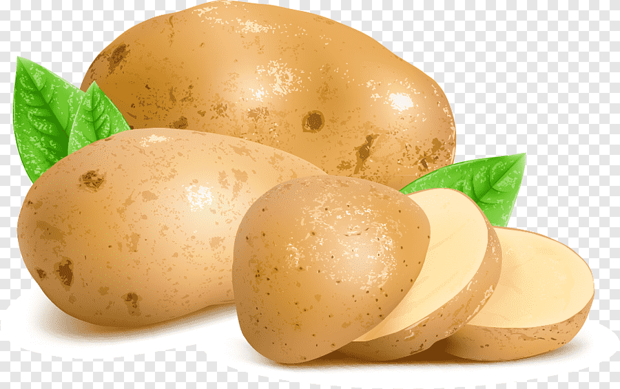 Potato