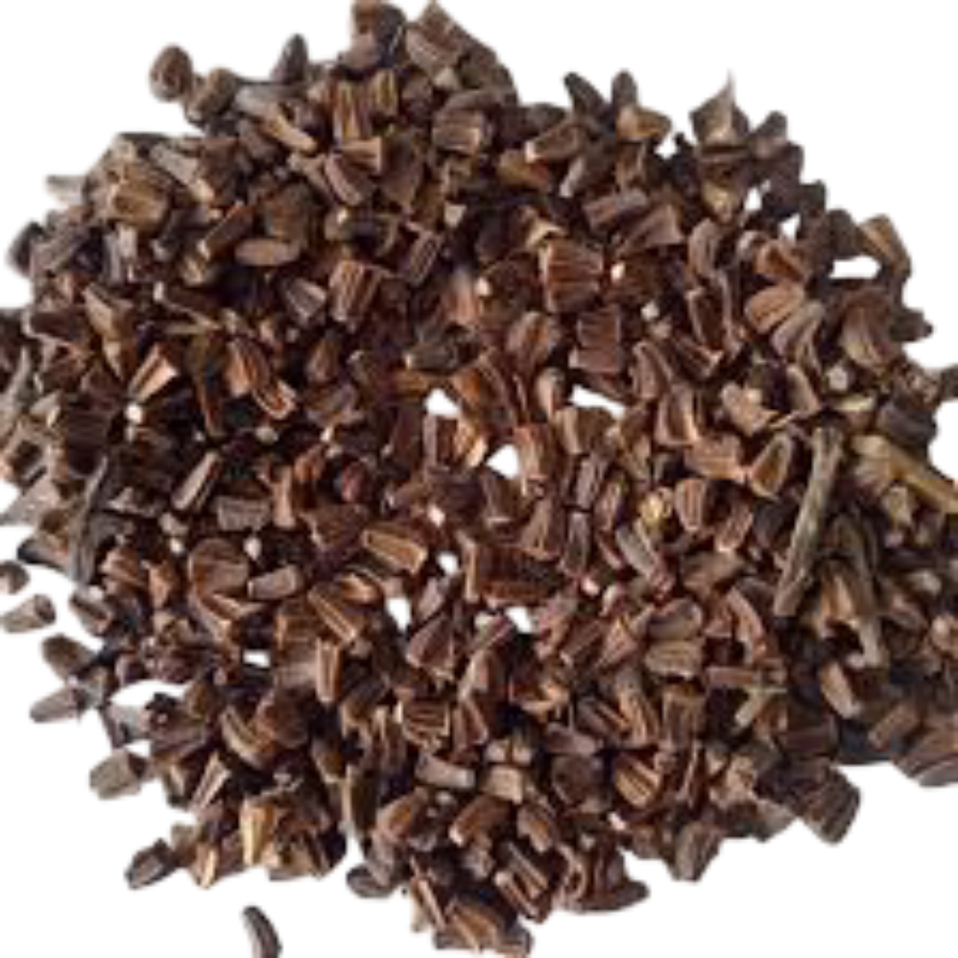 Chrysanthemum