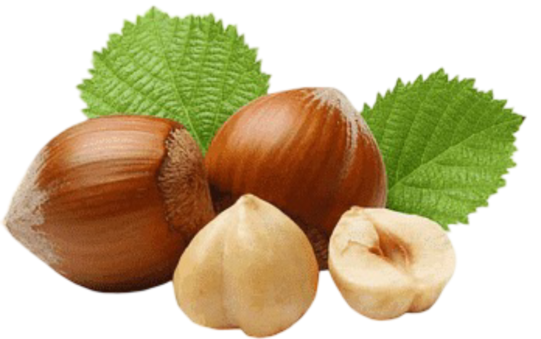  Hazelnut